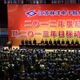 奮斗2013年，為開啟林洋事業(yè)新的征程而努力奮斗